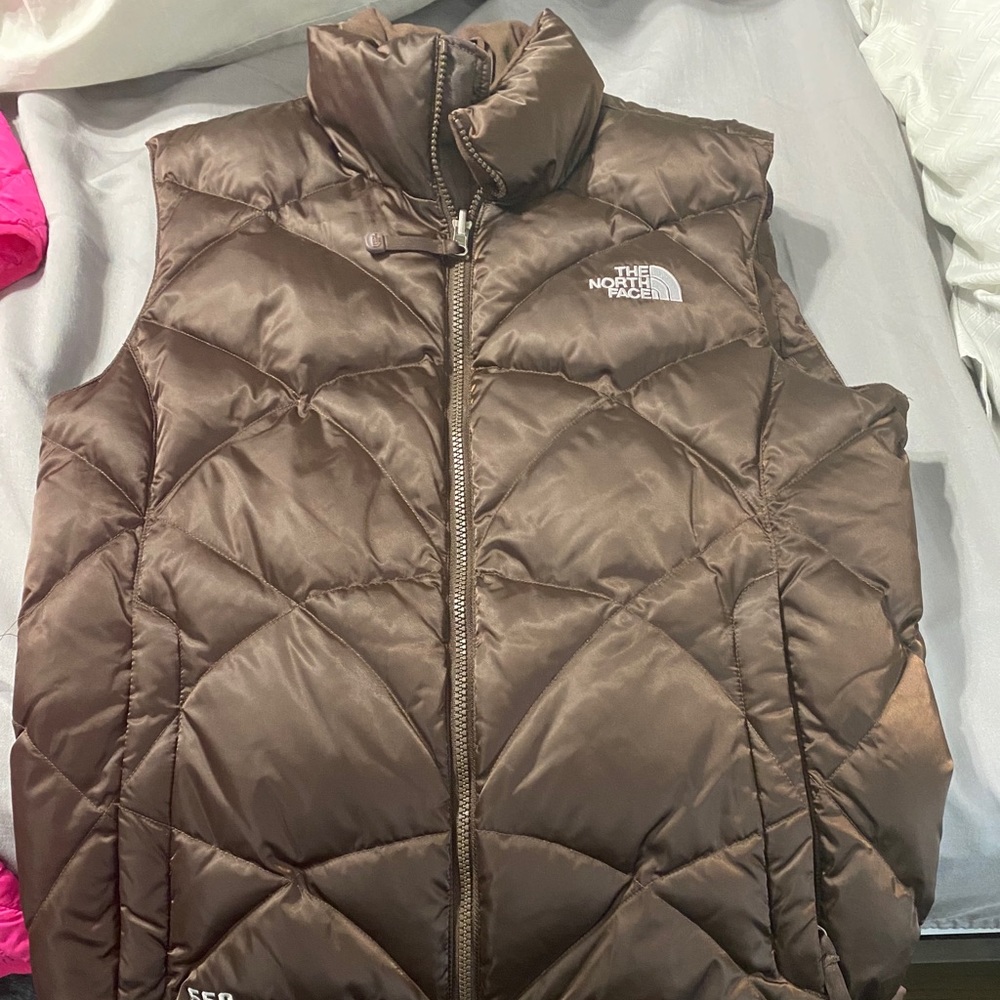 Brown north face vest